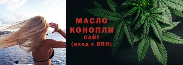 МДПВ Дмитриев