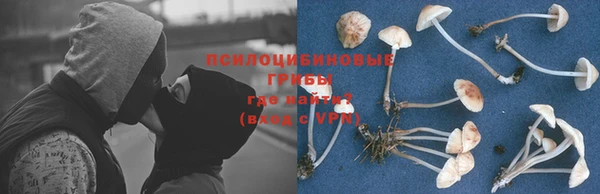 меф Дмитровск