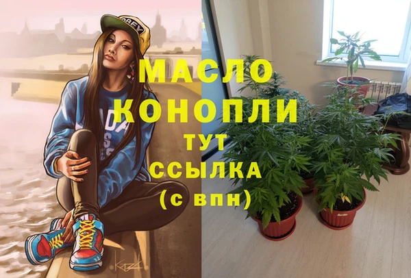 МДПВ Дмитриев