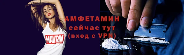 МДПВ Дмитриев