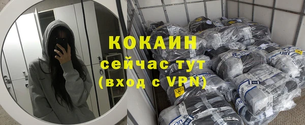 МДПВ Дмитриев