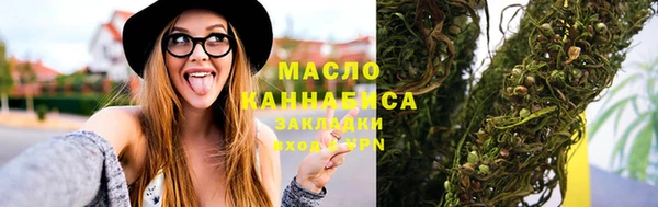 МДПВ Дмитриев